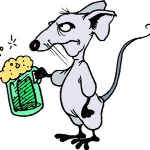 Meet your Posher, Kerry